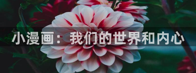 斗罗4漫画下拉式奇漫屋