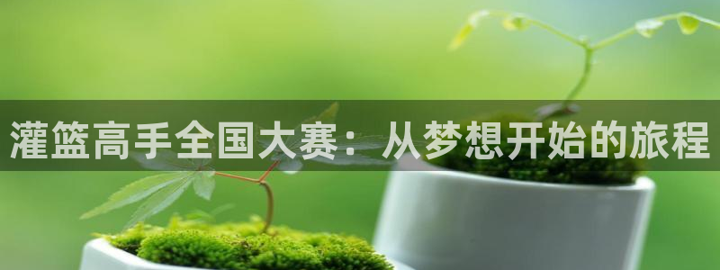 奇漫屋免费漫：灌篮高手全国大赛：从梦想开始的旅程