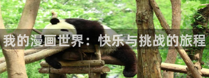 奇漫屋漫画网站：我的漫画世界：快乐与挑战的旅程