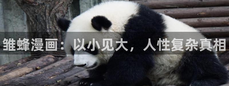 无尽吞噬漫画免费阅读下拉式奇漫屋六漫画：雏蜂漫画：以小见大，人性复杂真相
