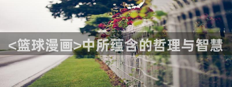 别哭漫画免费下拉式奇漫屋：<篮球漫画>中所蕴含的哲理与智慧